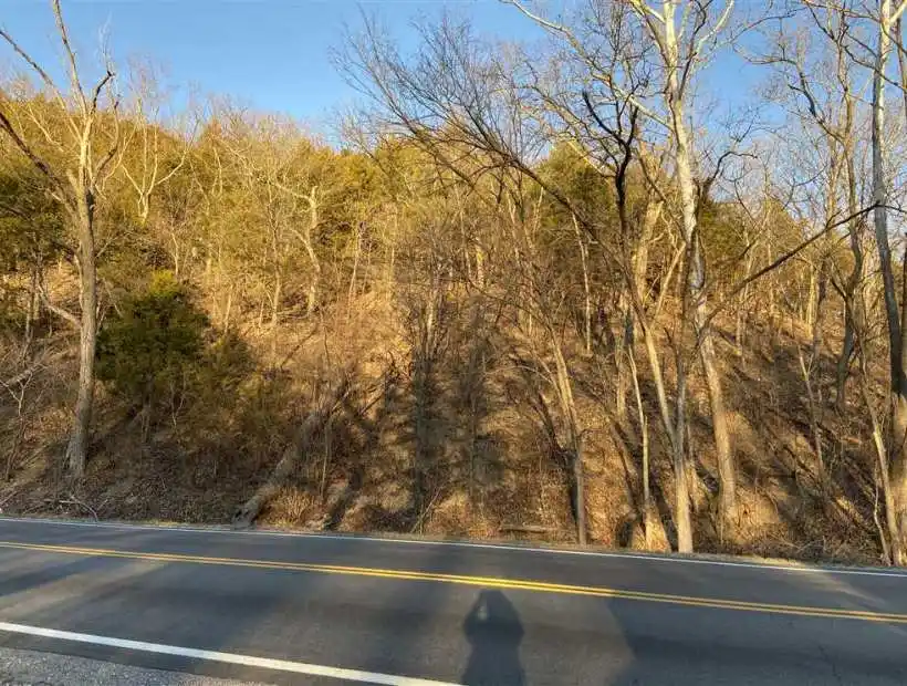 Waynesville, Missouri 65583, ,Hunting,Sold,5000