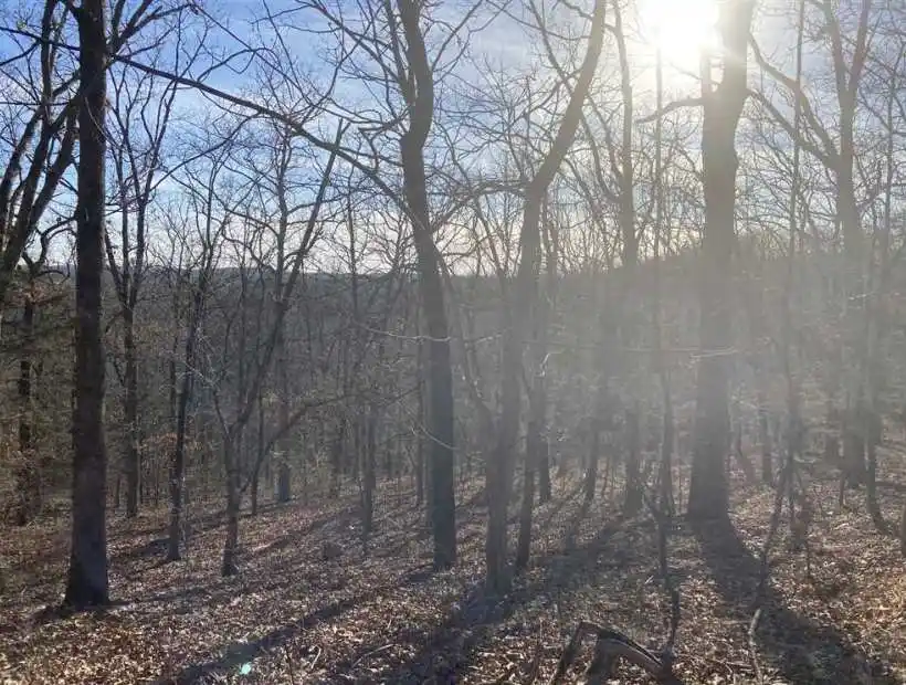 Eldon, Missouri 65026, ,Hunting,Sold,5004