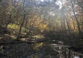 Lowry City, Missouri, ,Hunting,Sold,5010