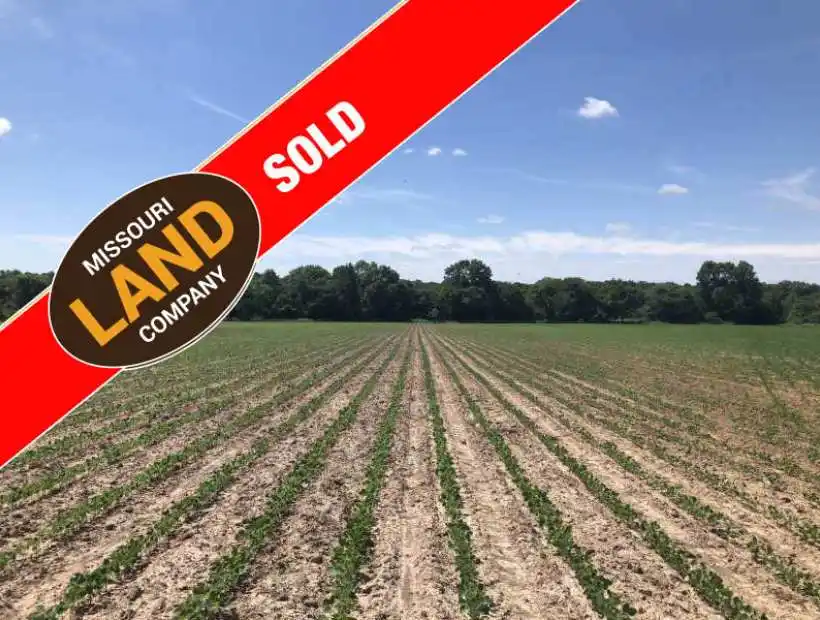 TBA NE 400 Rd, Calhoun, Missouri 65323, ,Farm,Sold,NE 400 Rd,5020