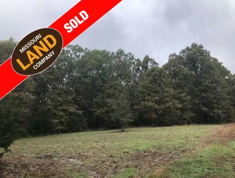 TBA Highway W, Cole Camp, Missouri 65325, ,Land,Sold,Highway W,5021