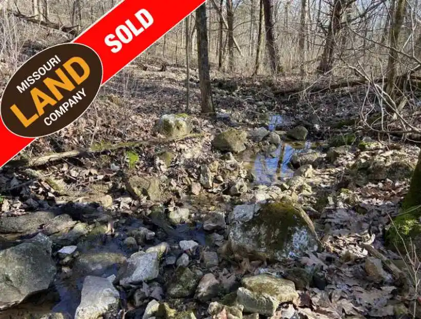 TBD County Road 290, Weaubleau, Missouri 65774, ,Land,Sold,County Road 290,5024