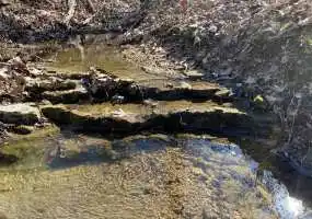 TBD TBD, Roach, Missouri 65787, ,Hunting,Sold,TBD,5026 TBD TBD, Roach, Missouri 65787, ,Hunting,Sold,TBD,5026