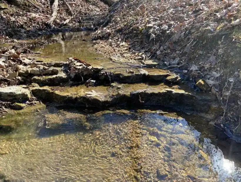 TBD TBD, Roach, Missouri 65787, ,Hunting,Sold,TBD,5026