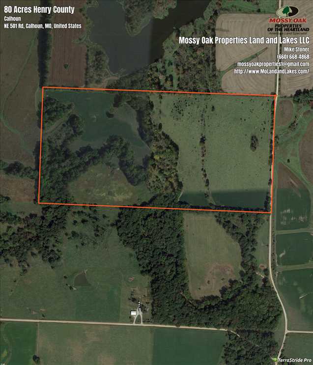 Great 80 Acre Hunting Tract with in Henry County Mo