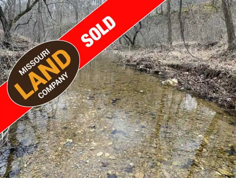 TBD Chapel Bluff Rd, Macks Creek, Missouri 65786, ,Hunting,Sold,Chapel Bluff Rd,5038