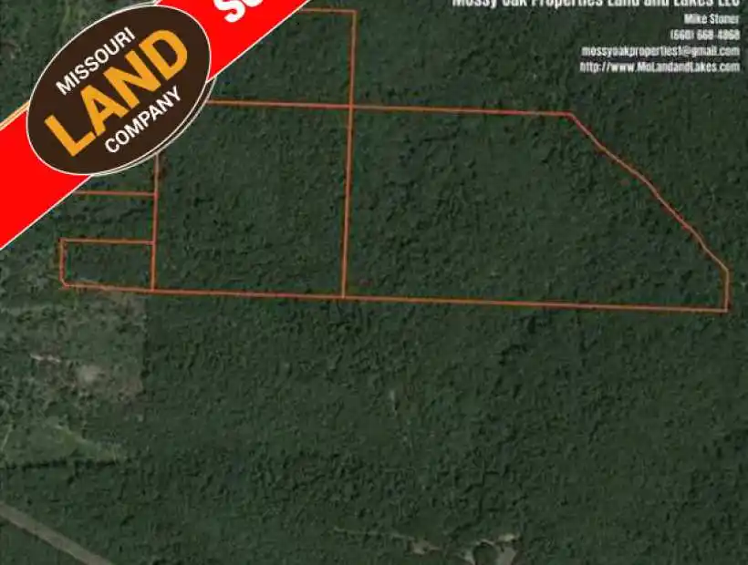 TBA Hwy 7, Climax Springs, Missouri 65324, ,Hunting,Sold,Hwy 7 ,5043