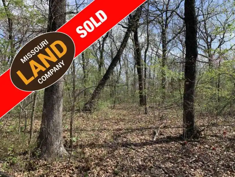 603 SE 400 Rd, Clinton, Missouri 64735, 3 Bedrooms Bedrooms, ,2 BathroomsBathrooms,House with Acreage,Sold,SE 400 Rd,5072