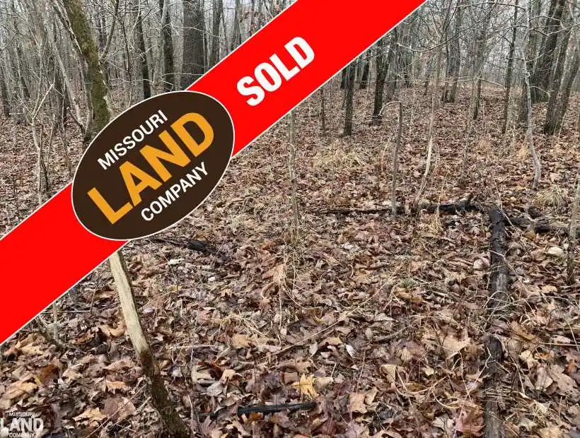 Hunting Land
Missouri Hunting Land
Camden County