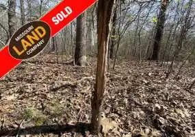 TBD Silvey Cemetery Road, Gravois Mills, Missouri 65037, ,Hunting,Sold,Silvey Cemetery Road,5096 TBD Silvey Cemetery Road, Gravois Mills, Missouri 65037, ,Hunting,Sold,Silvey Cemetery Road,5096