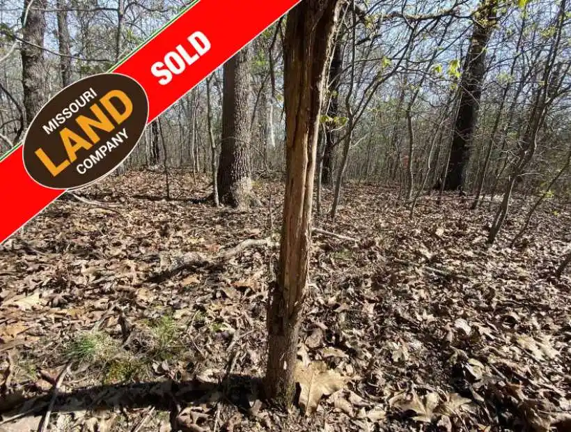TBD Silvey Cemetery Road, Gravois Mills, Missouri 65037, ,Hunting,Sold,Silvey Cemetery Road,5096