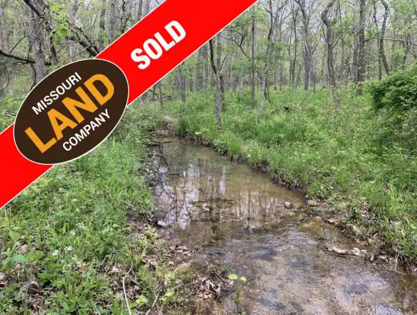 28451 Northwoods Dr, Lincoln, Missouri 65338, ,Hunting,Sold,Northwoods Dr ,5097