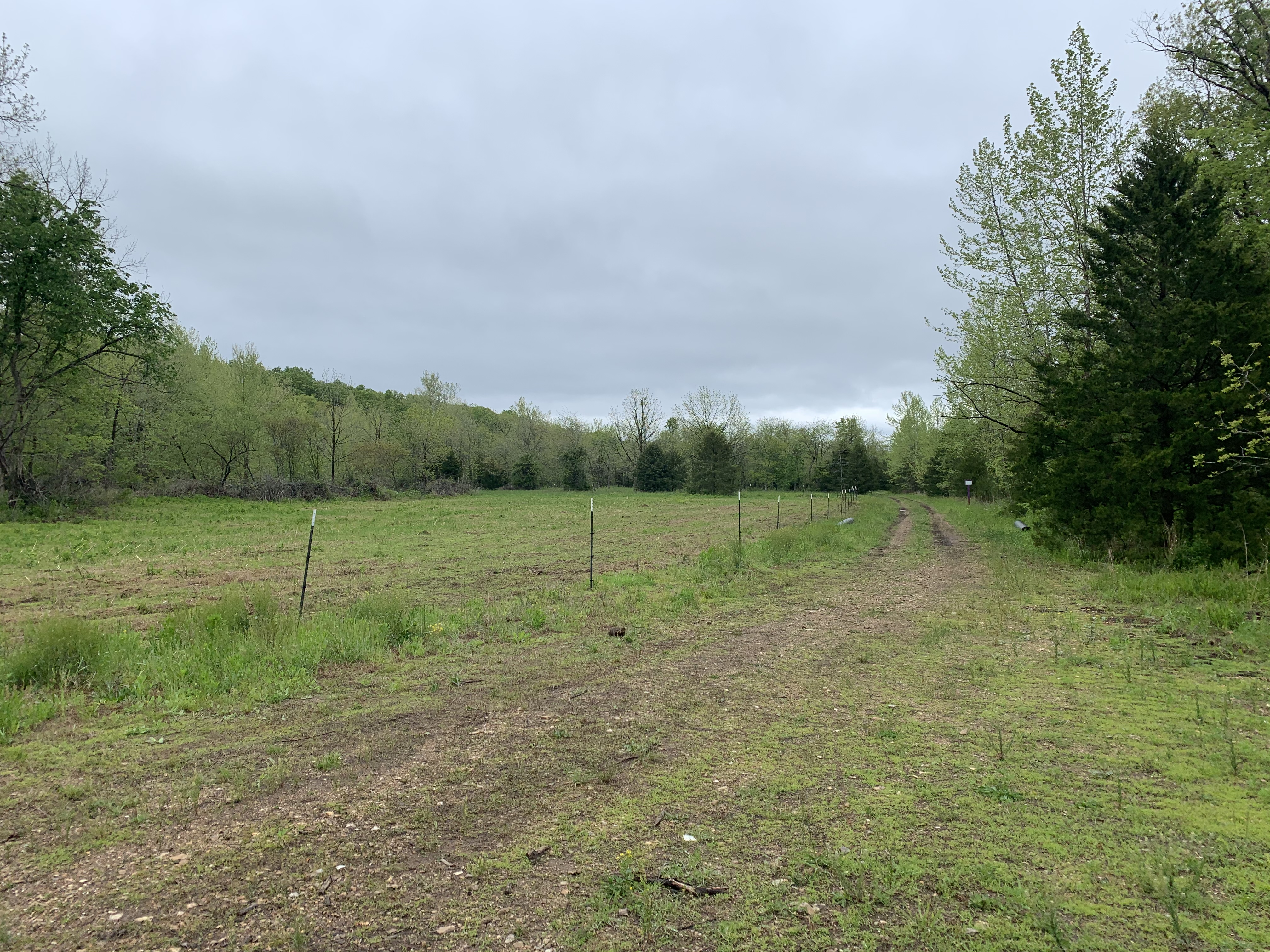 TBA Bollinger Creek Rd, Climax Springs, MO 65324 (Sold NYStateMLS