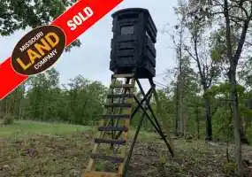 TBA Bollinger Creek Rd, Climax Springs, Missouri 65324, ,Hunting,Sold,Bollinger Creek Rd,5100 TBA Bollinger Creek Rd, Climax Springs, Missouri 65324, ,Hunting,Sold,Bollinger Creek Rd,5100