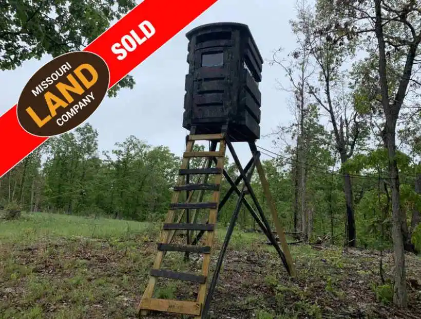 TBA Bollinger Creek Rd, Climax Springs, Missouri 65324, ,Hunting,Sold,Bollinger Creek Rd,5100