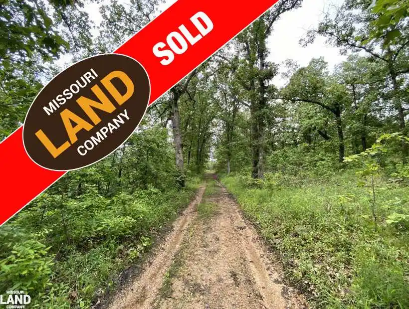 TBD Salt Ground Road, Macks Creek, Missouri 65786, ,Hunting,Sold,Salt Ground Road,5113