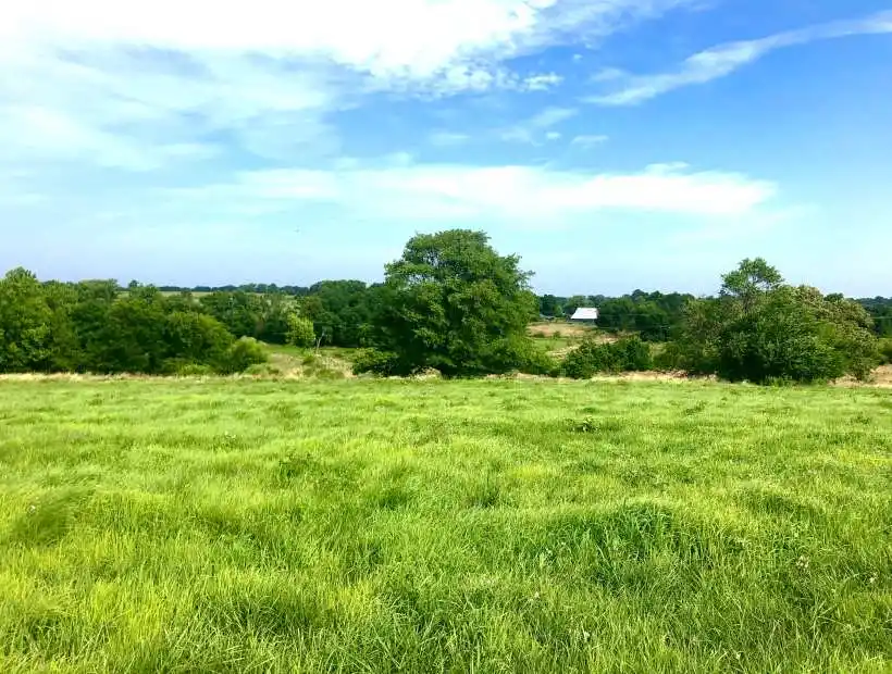 10848 Starr School Rd., Odessa, Missouri 64076, ,Farm,Inactive,Starr School Rd.,5161