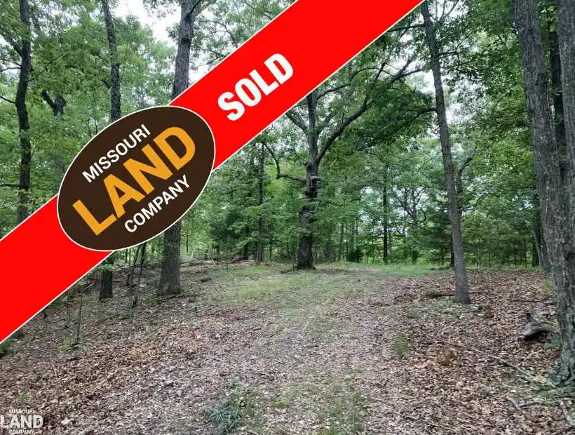 TBD Four Waters Dr, Sunrise Beach, Missouri 65079, ,Recreational,Sold,Four Waters Dr,5163