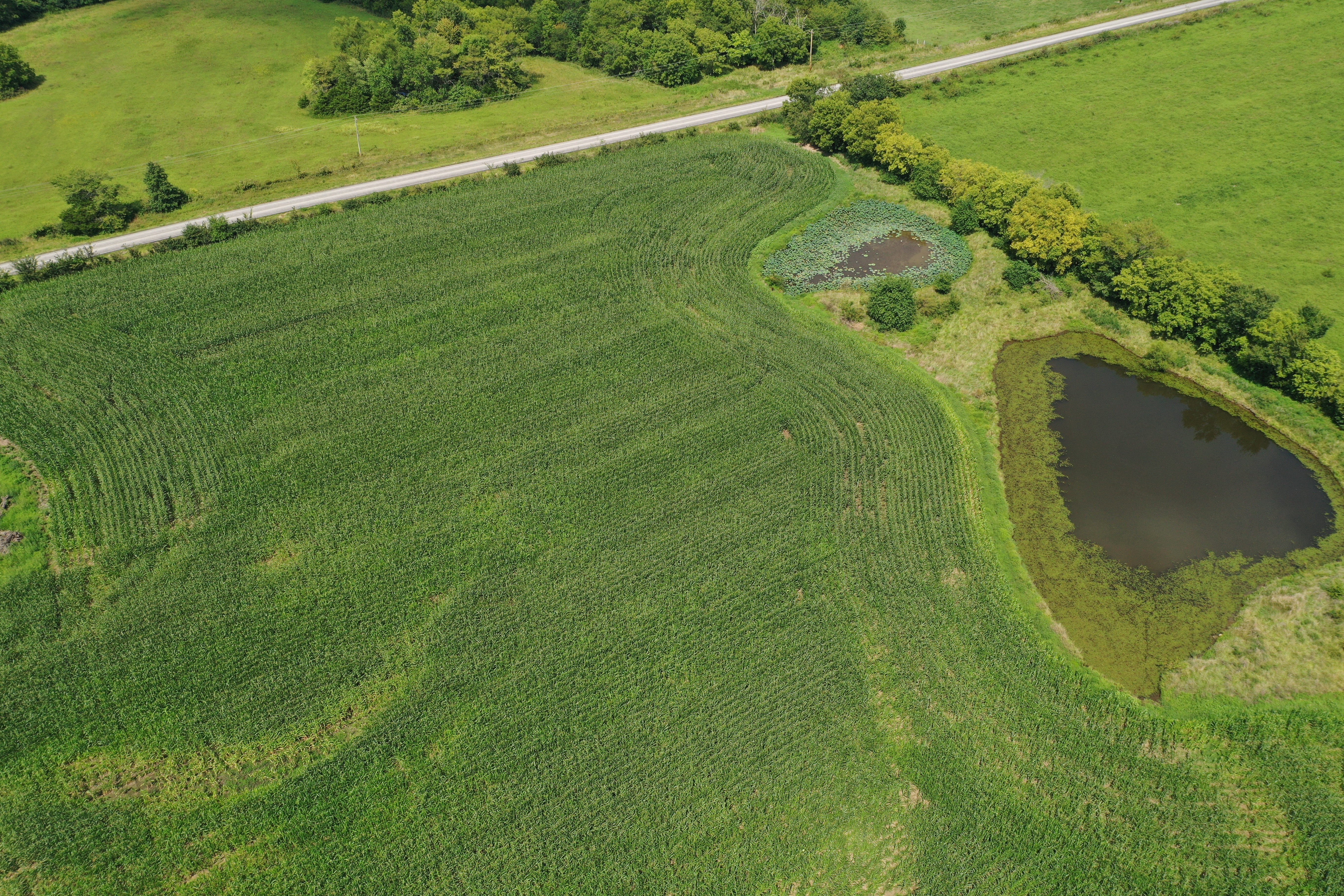 710 Hwy PP, Leeton, MO 64761 (Off Market NYStateMLS Listing 10928340)