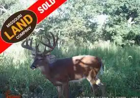 TBD Little BuffaloRd, Stover, Missouri 65078, ,Hunting,Sold,Little BuffaloRd ,5172 TBD Little BuffaloRd, Stover, Missouri 65078, ,Hunting,Sold,Little BuffaloRd ,5172