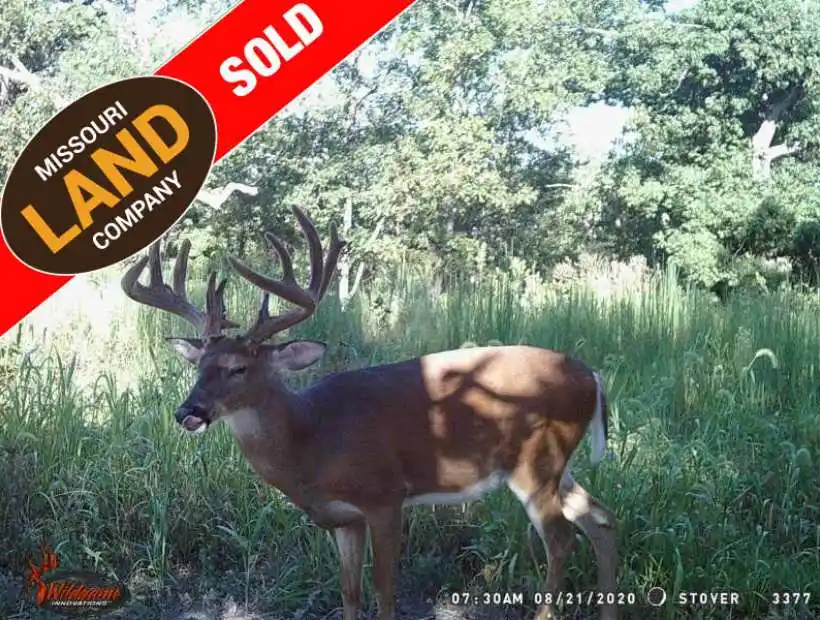 TBD Little BuffaloRd, Stover, Missouri 65078, ,Hunting,Sold,Little BuffaloRd ,5172