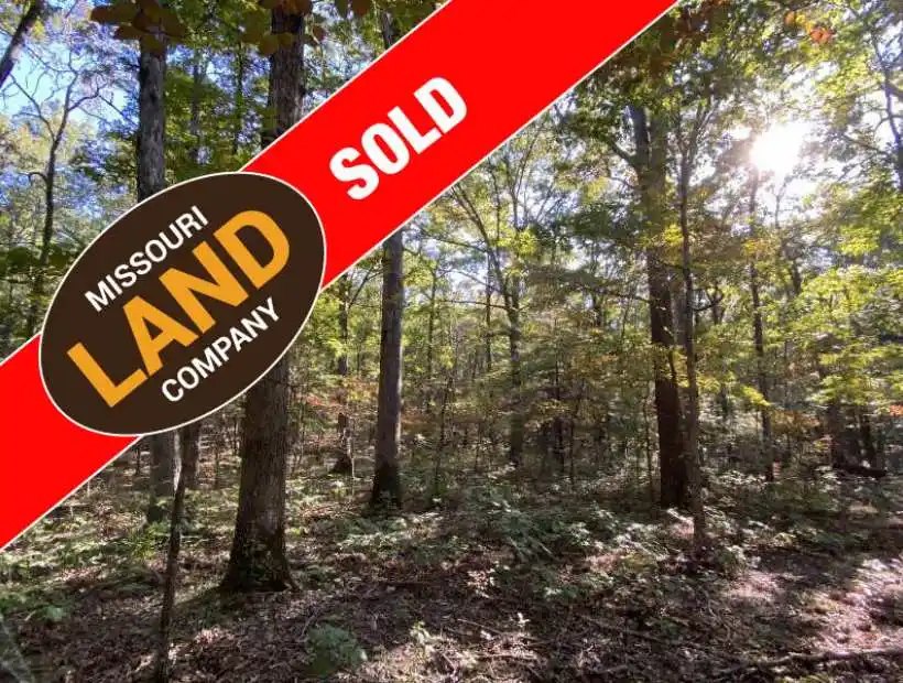 TBD County Road 1350, Saint James, Missouri 65559, ,Land,Sold,County Road 1350,5221