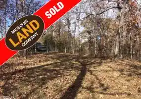 deer deerhunt camp outdoor barnett 