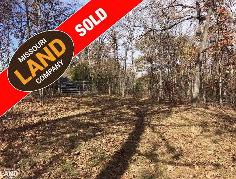 deer deerhunt camp outdoor barnett