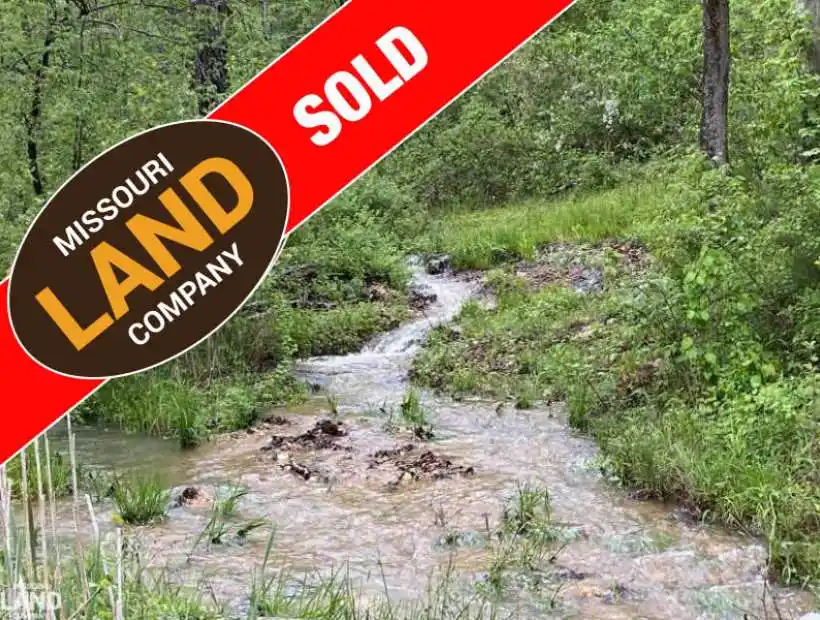TBD Lodgestone Lane, Potosi, Missouri 65664, ,Hunting,Sold,Lodgestone Lane,5238