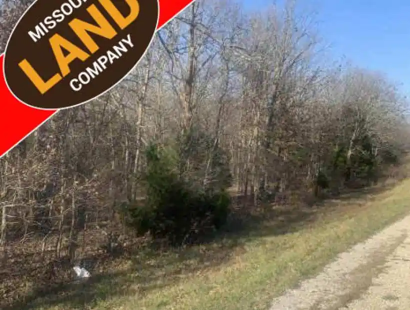 Address not available!, ,Land,Sold,TBD Hwy 17,5257