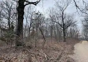 Lake of the Ozarks, Lake, Ozarks, Timber, Creek, Wooded, Land, Deer, Wildlife Lake of the Ozarks, Lake, Ozarks, Timber, Creek, Wooded, Land, Deer, Wildlife