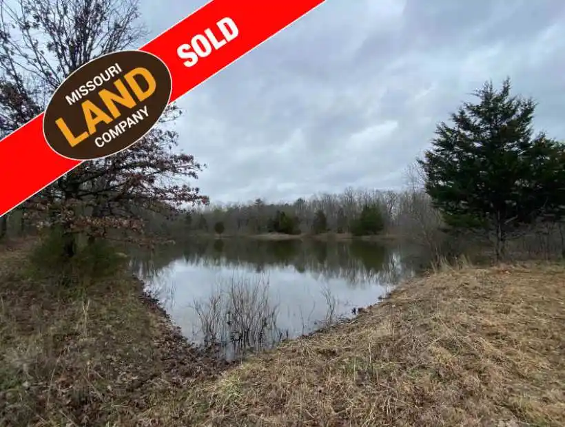 TBD County Road 3260, Salem, Missouri 65560, ,Land,Sold,County Road 3260,5385