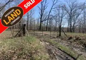 TBD Beechnut Rd, Stover, Missouri 65078, ,Hunting,Sold,Beechnut Rd,5388