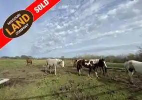 22290 Daviess Road, Knob Noster, Missouri 65336, 3 Bedrooms Bedrooms, ,2 BathroomsBathrooms,Farm,Sold,Daviess Road,5396 22290 Daviess Road, Knob Noster, Missouri 65336, 3 Bedrooms Bedrooms, ,2 BathroomsBathrooms,Farm,Sold,Daviess Road,5396