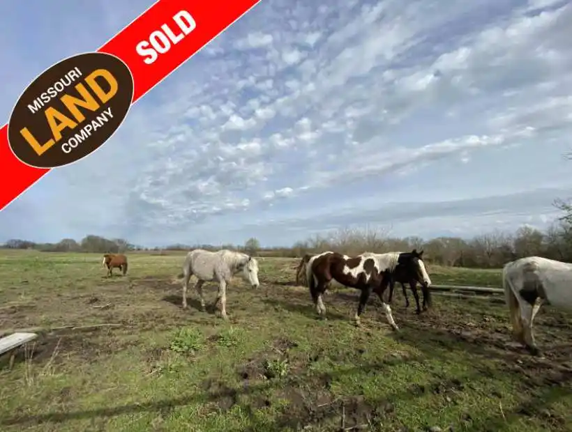 22290 Daviess Road, Knob Noster, Missouri 65336, 3 Bedrooms Bedrooms, ,2 BathroomsBathrooms,Farm,Sold,Daviess Road,5396