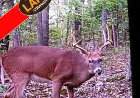 TBD Hwy 7, Warsaw, Missouri 65355, ,Hunting,Sold,Hwy 7 ,5400