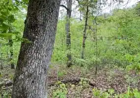 2 Rhapsody, Richland, Missouri 65556, ,Land,Inactive,Rhapsody,5432 2 Rhapsody, Richland, Missouri 65556, ,Land,Inactive,Rhapsody,5432