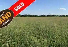 11342 Hwy K, Wheatland, Missouri 65779, 1 Bedroom Bedrooms, ,3 BathroomsBathrooms,House with Acreage,Sold,Hwy K ,5443 11342 Hwy K, Wheatland, Missouri 65779, 1 Bedroom Bedrooms, ,3 BathroomsBathrooms,House with Acreage,Sold,Hwy K ,5443