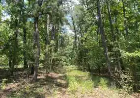 TBD Hwy U, Bland, Missouri 65014, ,Hunting,Inactive, Hwy U ,5446 TBD Hwy U, Bland, Missouri 65014, ,Hunting,Inactive, Hwy U ,5446