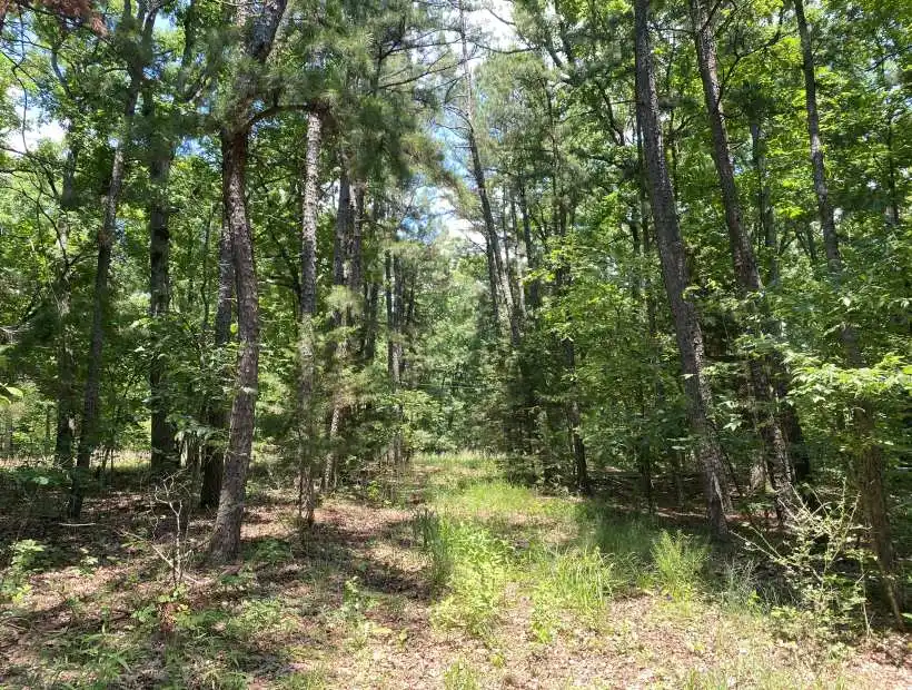 TBD Hwy U, Bland, Missouri 65014, ,Hunting,Inactive, Hwy U ,5446