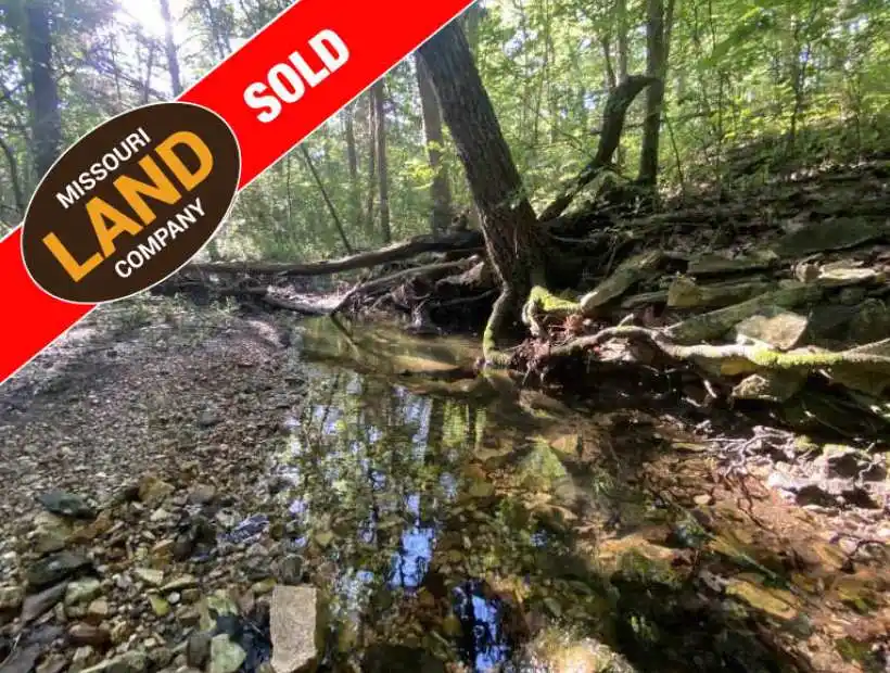 hunting, fishing, hunting land, lake,