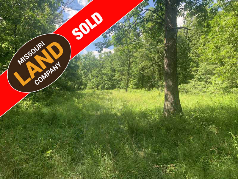 80 Acre Hunting and Recreational Tract Cross Timbers Mo