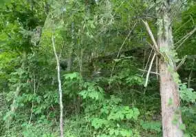 TBD County Road 7460, Newburg, Missouri 65550, ,Land,Inactive,County Road 7460,5473 TBD County Road 7460, Newburg, Missouri 65550, ,Land,Inactive,County Road 7460,5473