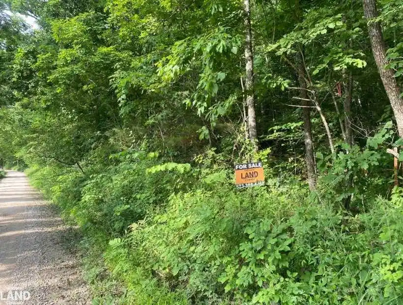 TBD County Road 7460, Newburg, Missouri 65550, ,Land,Inactive,County Road 7460,5474