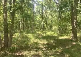 TBD Misty Meadows Ln, Camdenton, Missouri 65020, ,Land,Inactive,Misty Meadows Ln,5476 TBD Misty Meadows Ln, Camdenton, Missouri 65020, ,Land,Inactive,Misty Meadows Ln,5476