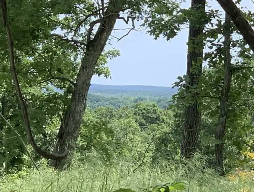Tbd Golden Acres Rd, Lincoln, Missouri 65338, ,Recreational,Sold,Golden Acres Rd ,5495