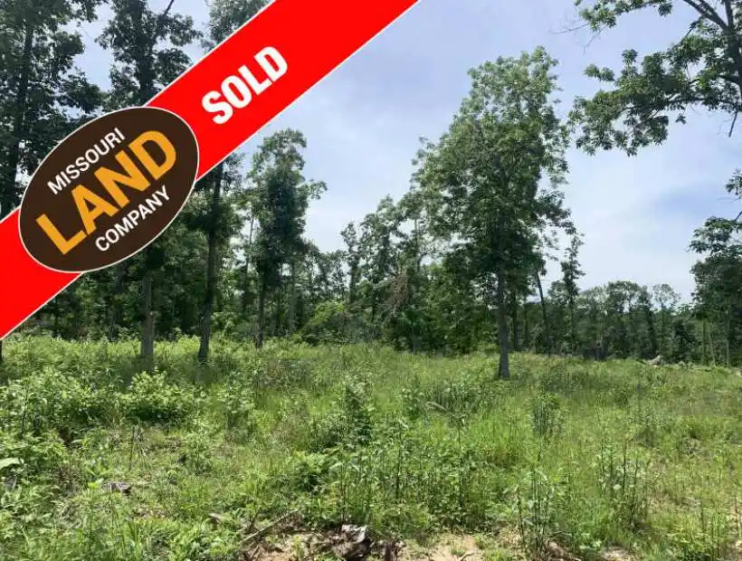 TBD Golden Acres Rd, Lincoln, Missouri 65338, ,Recreational,Sold,Golden Acres Rd ,5498