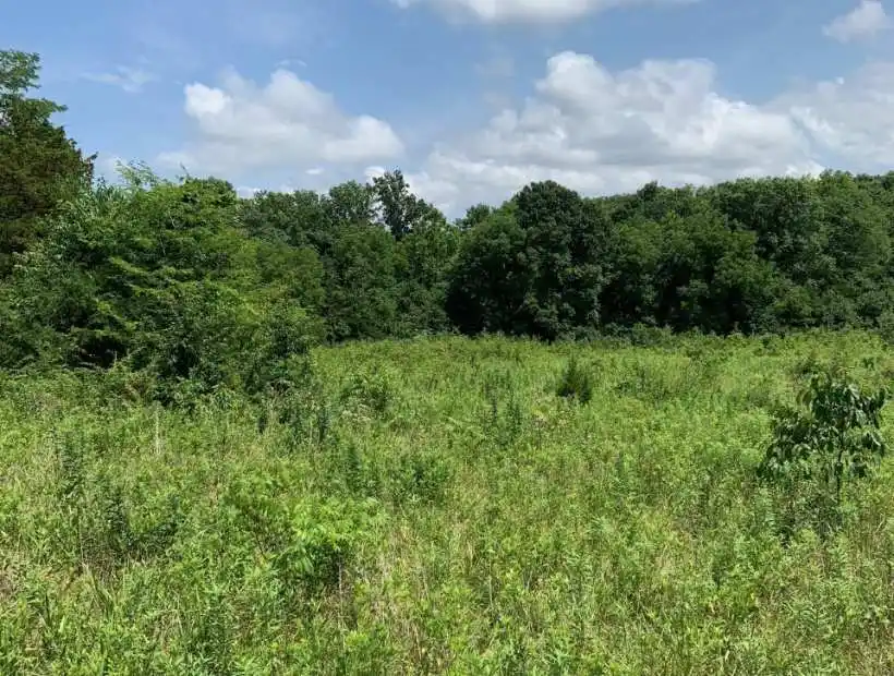 TBD High Point Road, Jefferson City, Missouri 65109, ,Land,Inactive,High Point Road,5506