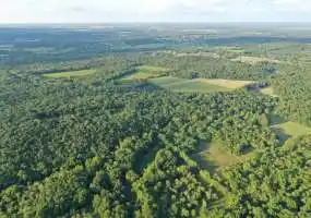 TBD CR 340, Flemington, Missouri 65650, ,Farm,Inactive,CR 340 ,5531 TBD CR 340, Flemington, Missouri 65650, ,Farm,Inactive,CR 340 ,5531