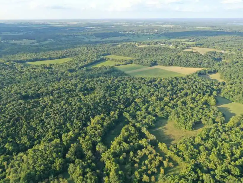 TBD CR 340, Flemington, Missouri 65650, ,Farm,Inactive,CR 340 ,5531